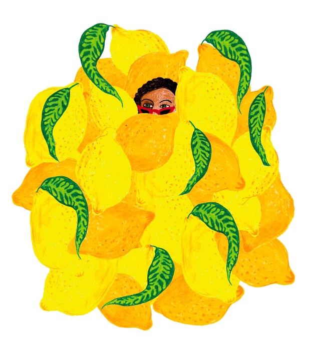 Citrons AFFICHE-ILLUSTRATION_LISE-IRIS